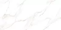 Керамогранит Nevada GFU60120NVD00L 60х120 Alma Ceramica (Alma Ceramica)