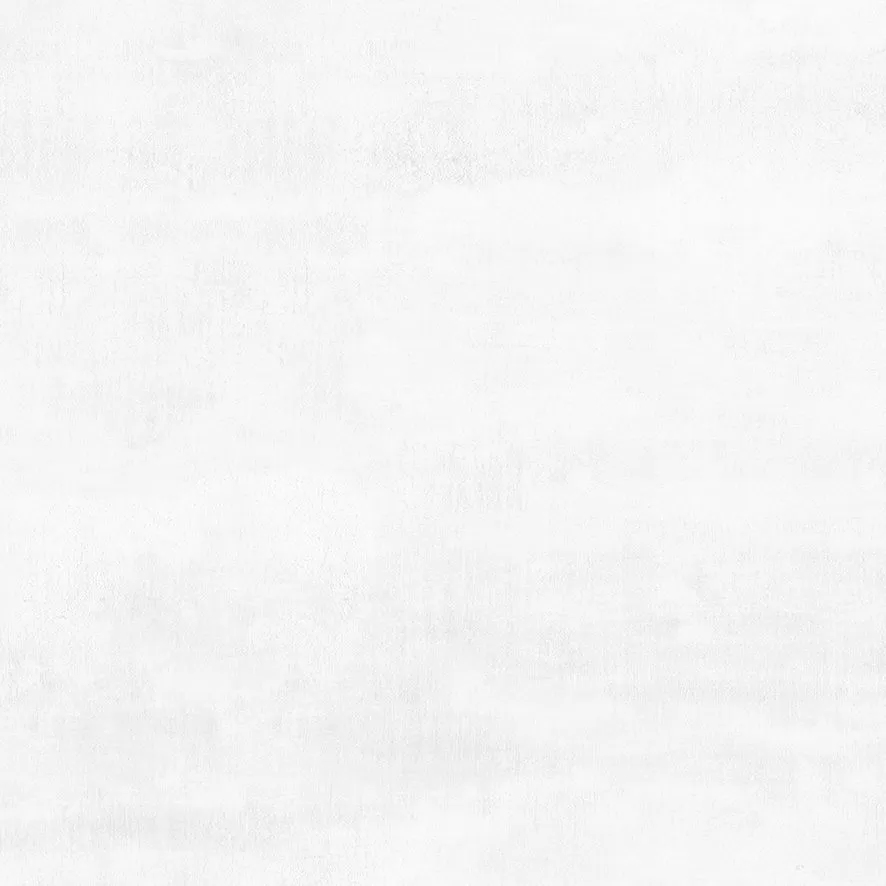 Flagman Керамогранит светло-серый K952736R0001LPET 60x60 (Laparet)