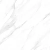 SATUARIO PLATINA 60x60 POLISHED