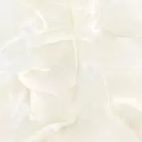 Керамогранит Talisman Onyx Crema 6060TLN01P 60x60 LCM