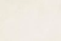 508061201 Sonnet (Сонет) Latte белый плитка д/стен 20,1х50,5, Azori