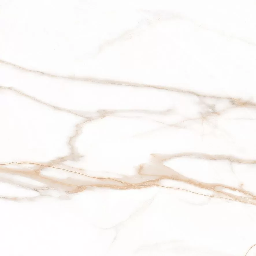 Calacatta Goddes Gold Керамогранит белый 60х60 Полированный