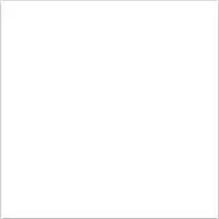 SNOW WHITE 60x60 POLISHED