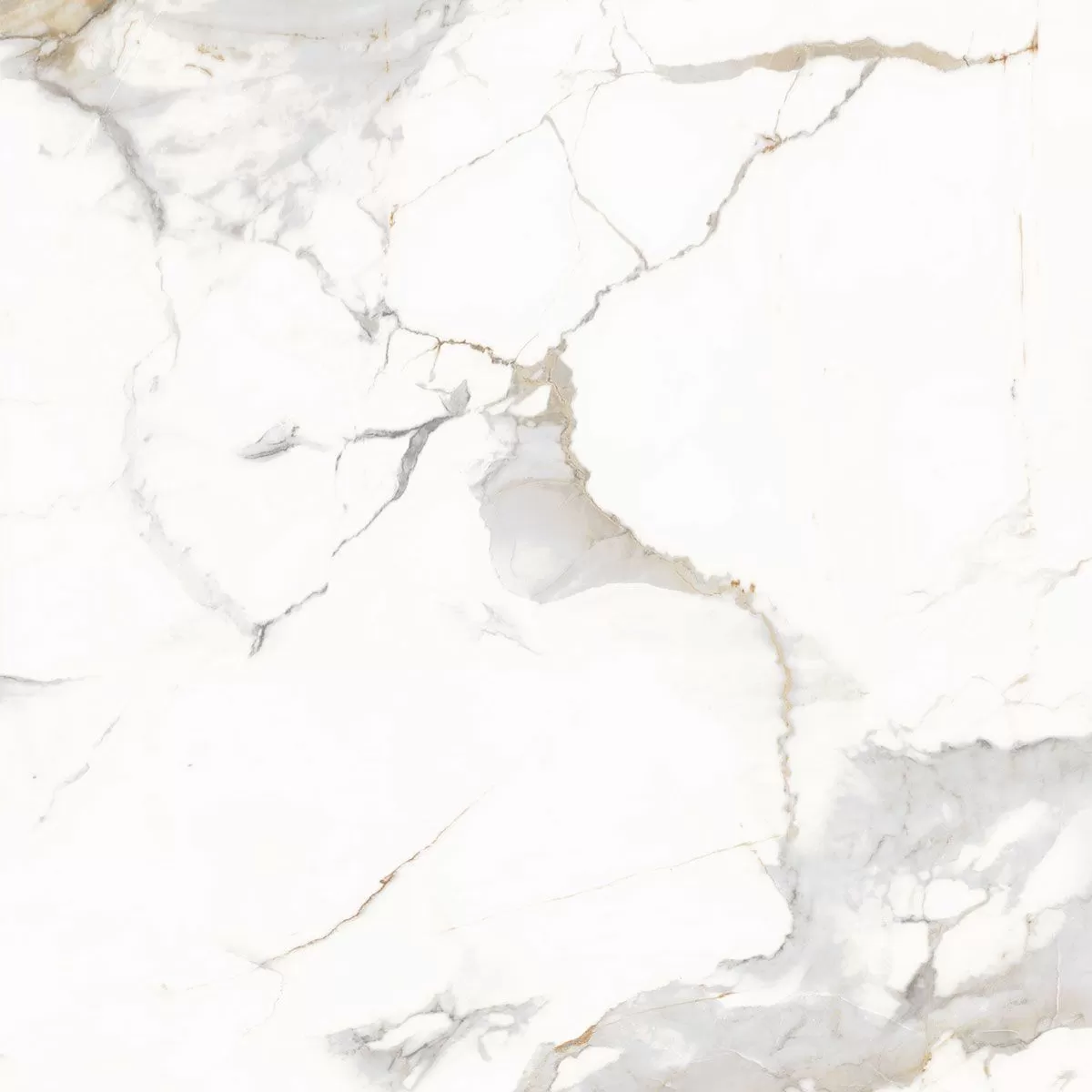 CALACATTA BLONDE 60x60 POLISHED