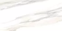 Плитка облицовочная Corsica TWU09CRS004 24.9х50 Alma Ceramica под мрамор