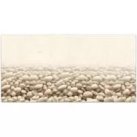 ВК Сардиния 1 белый Декор 300x600x9