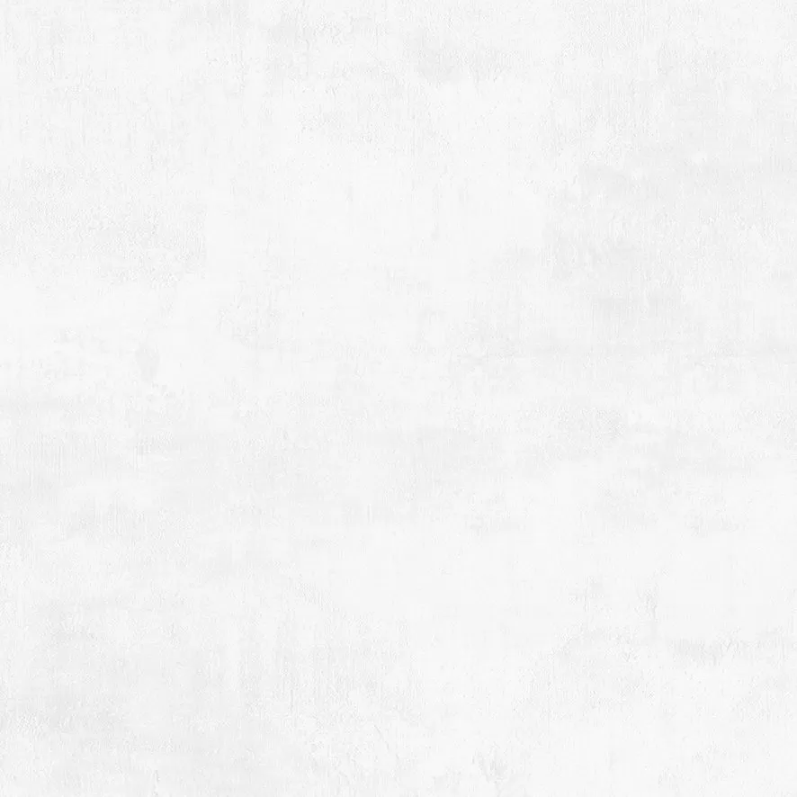 Flagman Керамогранит светло-серый K952736R0001LPET 60x60 (Laparet)